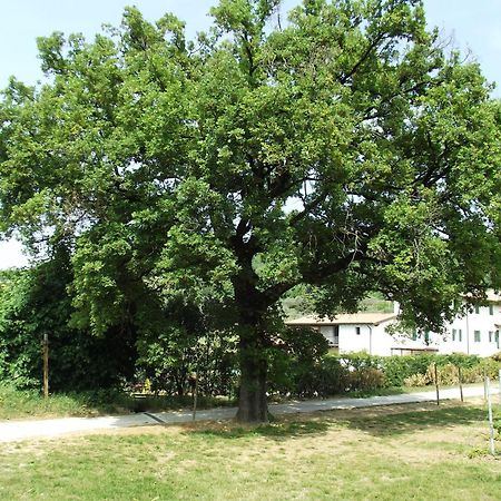 Agriturismo Ca' Castellani Bardolino Extérieur photo