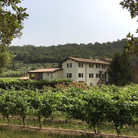 Agriturismo Ca' Castellani Bardolino Extérieur photo