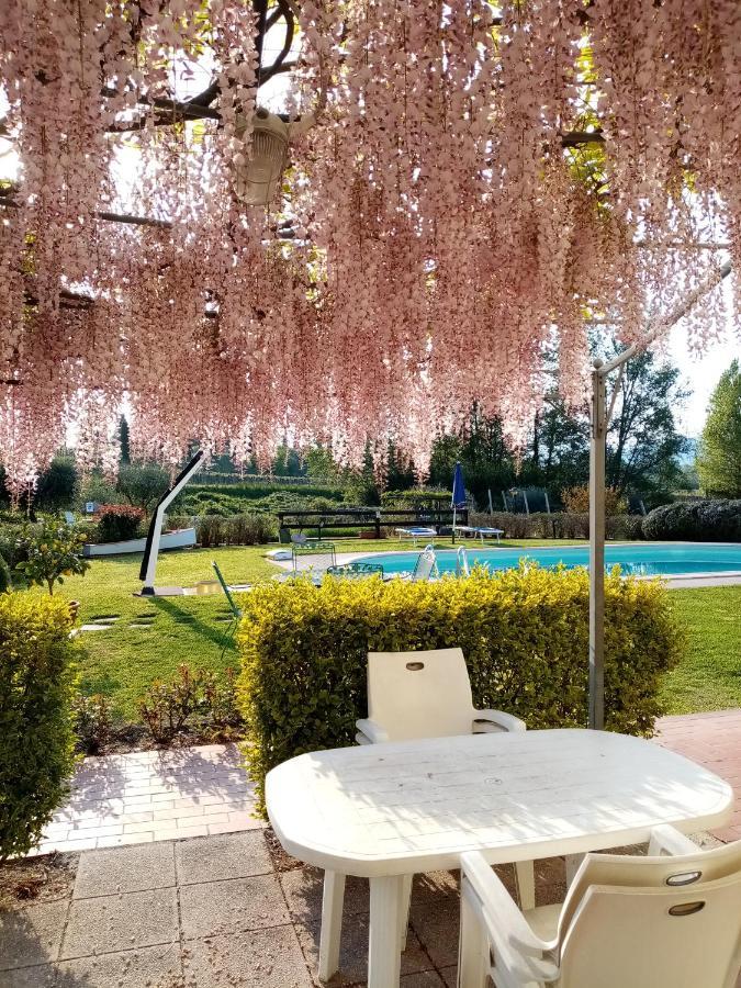 Agriturismo Ca' Castellani Bardolino Extérieur photo