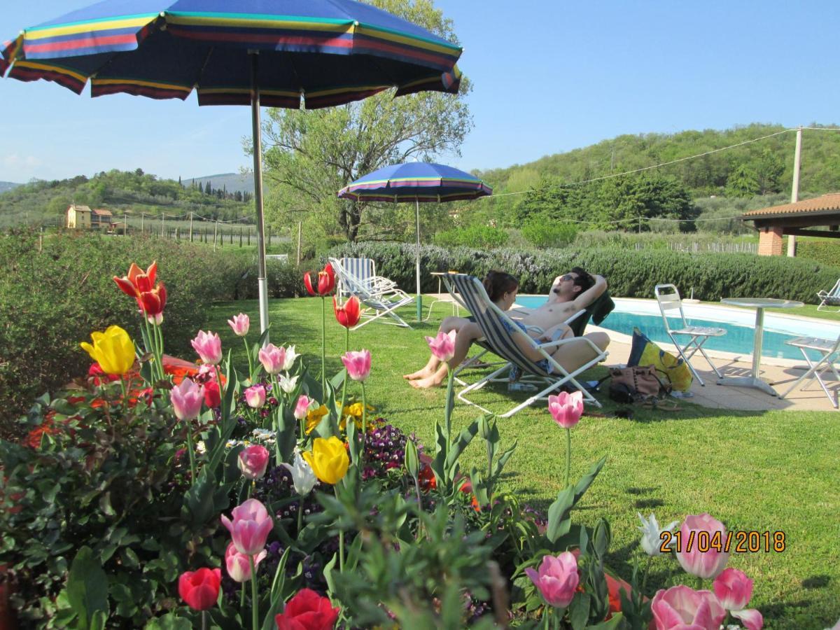 Agriturismo Ca' Castellani Bardolino Extérieur photo