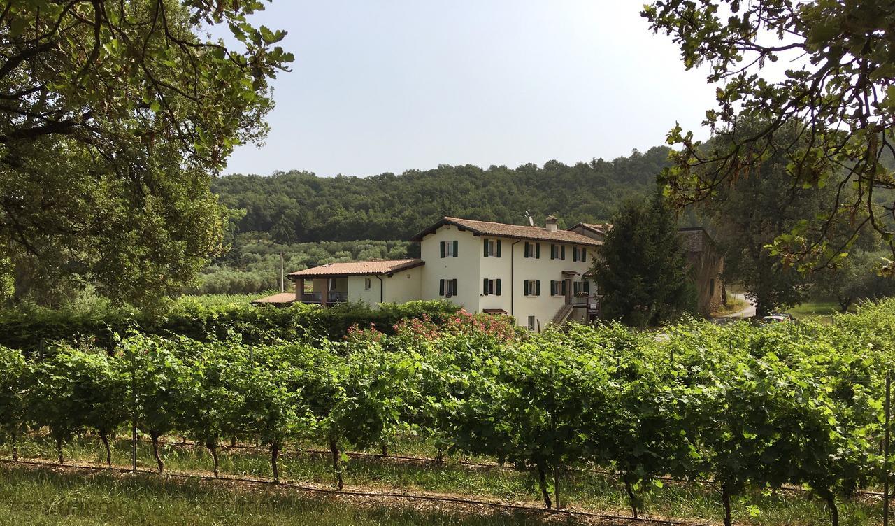 Agriturismo Ca' Castellani Bardolino Extérieur photo